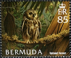 Bermuda Habitats