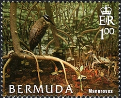 Bermuda Habitats