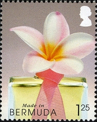Made in Bermuda Part 4
