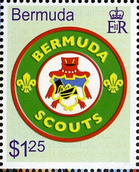 100th Anniversary of Scouting