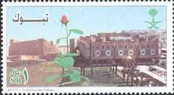 Tabuk Town