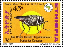 Pan-African Tsetse and Trypanosomiasis Eradication Campaign