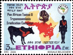 Pan-African Tsetse and Trypanosomiasis Eradication Campaign