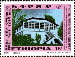 Ethiopia Freed from Rinderpest