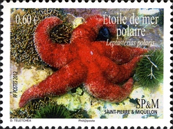 Stamp, Marine Fauna, Saint Pierre and Miquelon,  