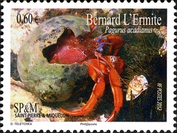 Marine Fauna