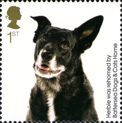 150th Anniversary of Battersea Dogs and Cats Home - Herbie was rehomed by Battersea Dogs and Cats Home