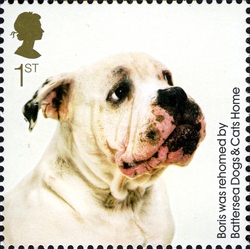150th Anniversary of Battersea Dogs and Cats Home - Boris was rehomed by Battersea Dogs and Cats Home