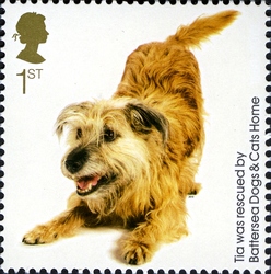 150th Anniversary of Battersea Dogs and Cats Home - Tia was rehomed by Battersea Dogs and Cats Home