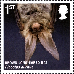 Stamp, Mammals of UK - Brown Long-eared Bat, United Kingdom of Great Britain & Northern Ireland,  