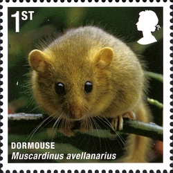 Stamp, Mammals of UK - Dormouse, United Kingdom of Great Britain & Northern Ireland,  