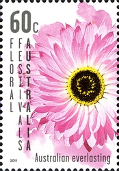 Floral Festivals Australia - Australian Everlasting