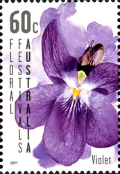 Floral Festivals Australia - Violet