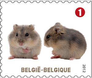 Stamp, Hamster [subfamily Cricetinae], Belgium,  , Hamsters
