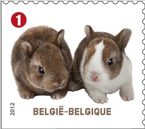 Stamp, Domestic Rabbit (Oryctolagus cuniculus domesticus), Belgium,  , Mammals, Rabbits, Animals (Fauna)
