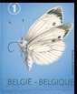 Large White (Pieris brassicae) - Top + Right imperf