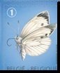 Large White (Pieris brassicae) - Bottom + Right imperf