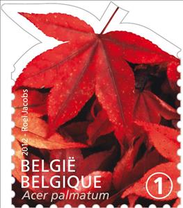 Stamp, Tree Leaf: Acer palmatum, Belgium,  