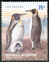 King penguin