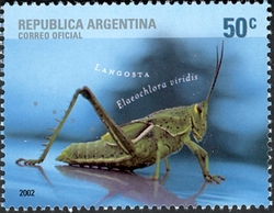 Stamp, 50th Anniversary of Argentine Federation of Philatelic Entities - Insects - Locust (Elaeochlora viridis), Argentina,  