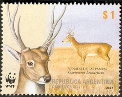 World Wildlife Fund for Nature - Pampas deer (Ozotoceros bezoarticus)