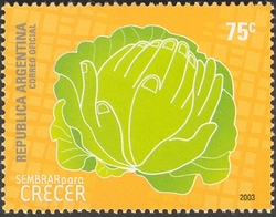 SOLIDARITY -  United hands that maintain products from the vegetable garden and map of a town