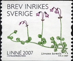 Stamp, Linnea - Linnaea borealis, Sweden,  