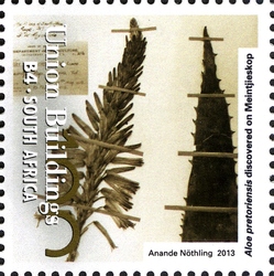 The Union Building Centenary