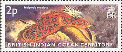 Stamp, Sea slugs - Halgerda tesselata, British Indian Ocean Territory,  