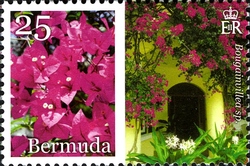 Bermuda in Bloom Part 1