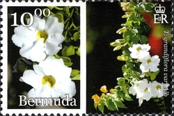 Stamp, Bermuda in Bloom Part 1, Bermuda,  