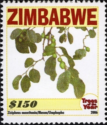 Stamp, Trees of the Year - Ziziphuus mauritania, Zimbabwe,  