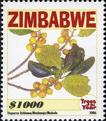 Stamp, Trees of the Year - Uaparca kirkiana, Zimbabwe,  