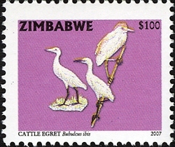 Stamp, Sixth Definitive series - Cattle Egret, Zimbabwe,  