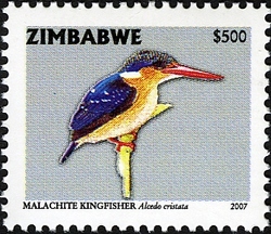 Sixth Definitive series - Malachite Kingfisher