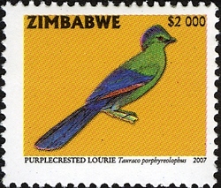 Sixth Definitive series - Puprle-crested Lourie