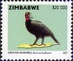 Sixth Definitive series - Ground Hornbill