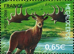 Megaloceros