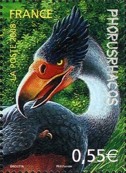 Phorusrhacos