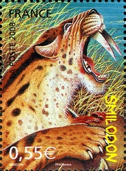 Sabre toothed Tiger