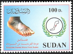 Eradicate Guinea worm from the world