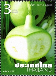 Home-grown Vegetables - Bottle Gourd