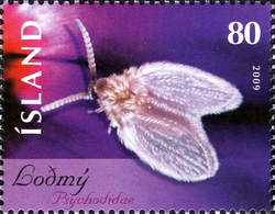 Stamp, Insects and Spiders V - Moth fly, Iceland,  