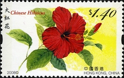Hong Kong Flowers - Chinese Hibiscus
