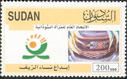 Rural Women Innovation