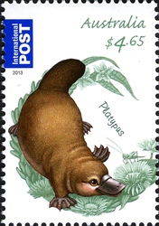 Bush Babies II - Platypus
