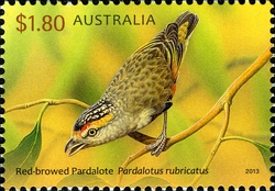 Australian Birds - Red-browed Pardalote