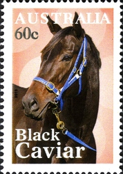 Black Caviar - Australia 2013 digital print