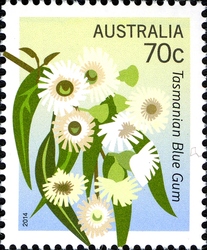Floral Emblems - Tasmanian Blue Gum