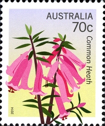 Floral Emblems - Common Heath
